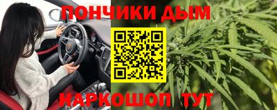стафф Лесосибирск
