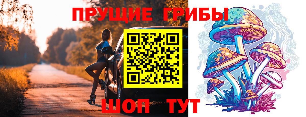 Псилоцибиновые грибы GOLDEN TEACHER Кольчугино